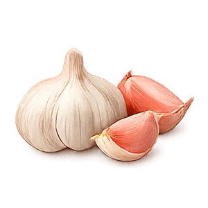 Lowersol — ajo (Allium sativum)