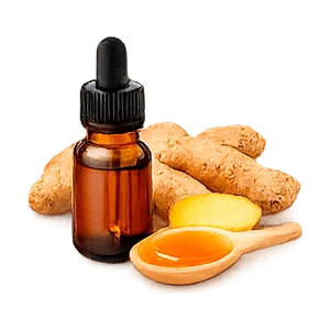 Lowersol — jengibre (Zingiber officinale)