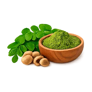 Lowersol — moringa (Moringa oleifera)