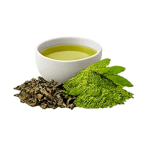 Lowersol — té verde (Camellia sinensis)